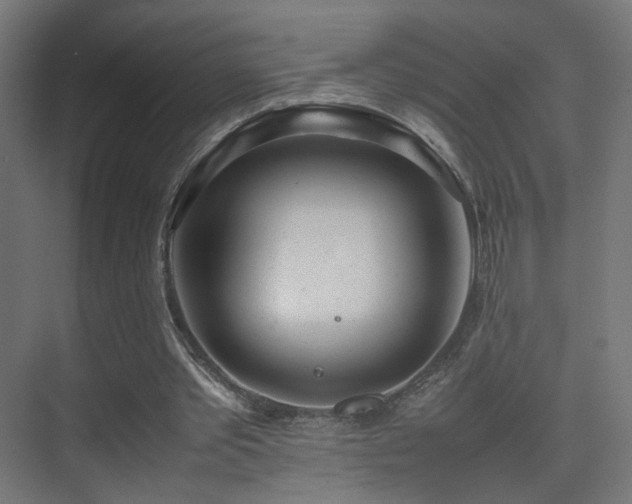 X0000075330389200609081103