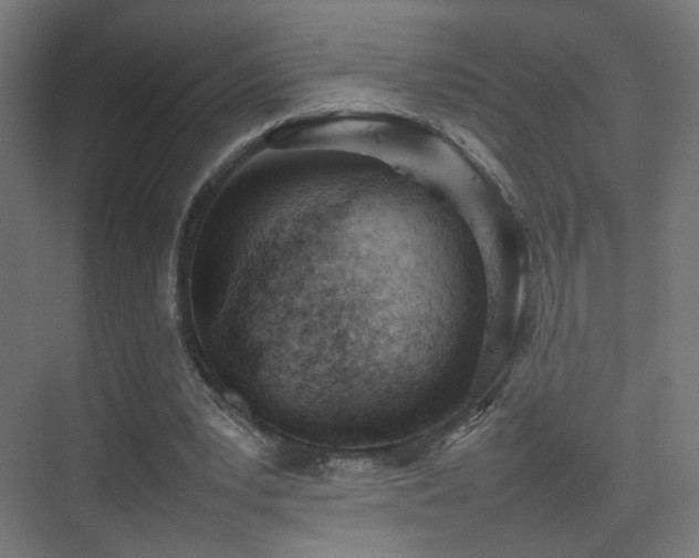 X0000075330391200609081103