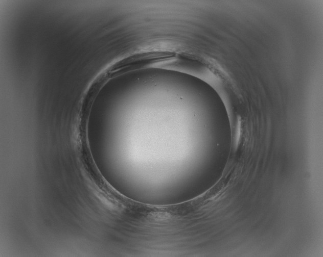 X0000075330392200609081103