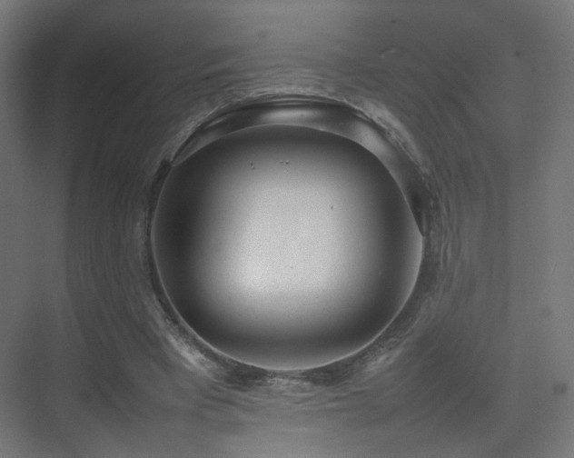 X0000075330393200609081103