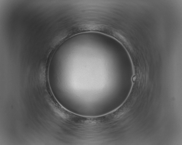 X0000075330394200609081103