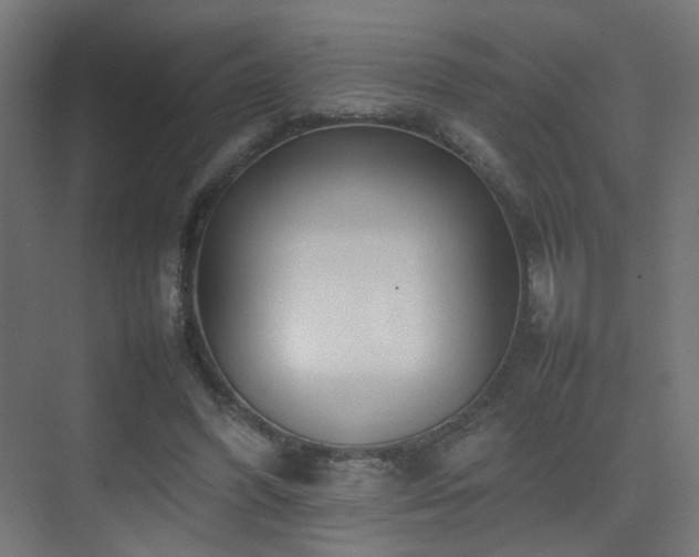 X0000075330396200609081103