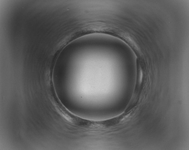 X0000075330397200609081103