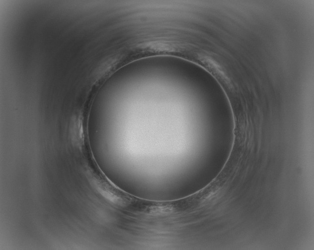 X0000075330398200609081103