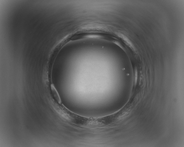 X0000075330399200609081103