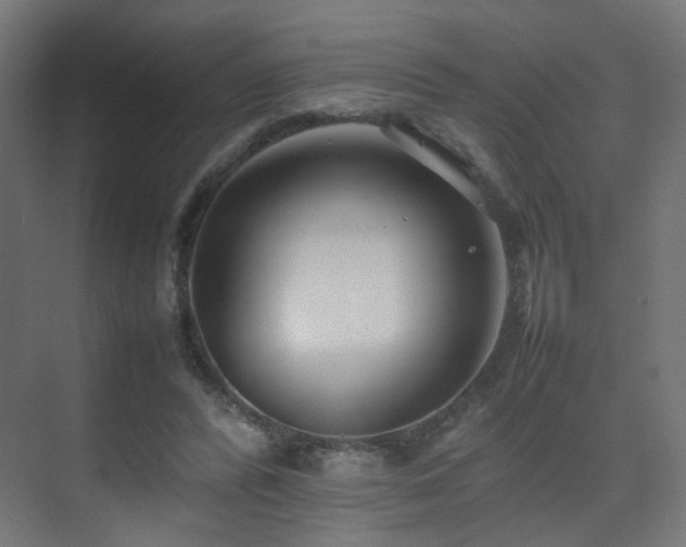 X0000075330400200609081103