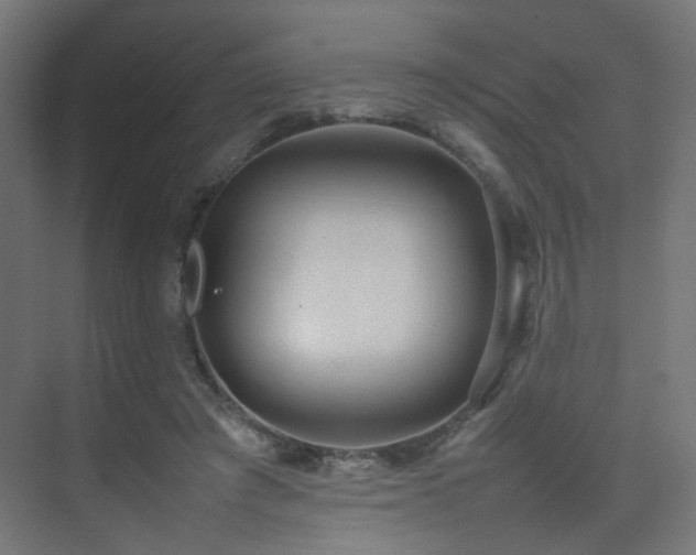 X0000075330401200609081103