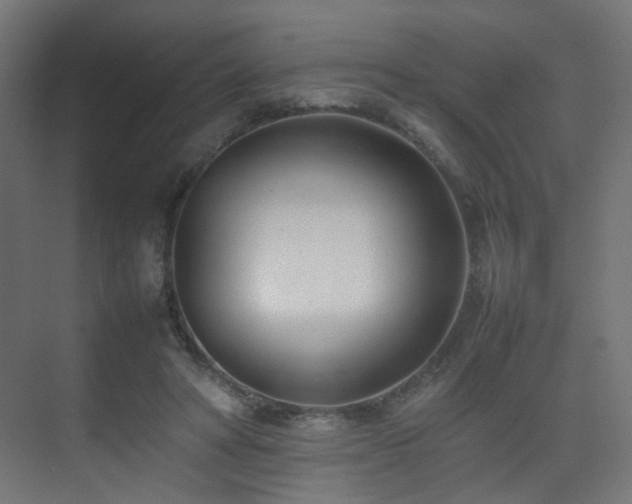 X0000075330402200609081103
