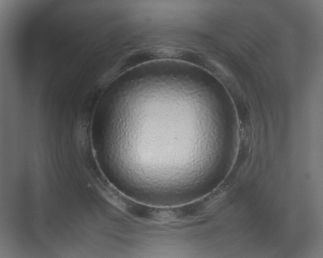 X0000075330409200609081103