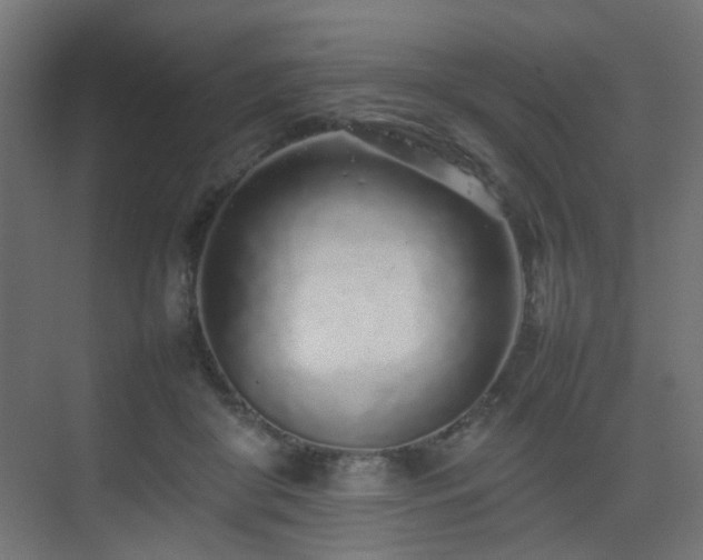 X0000075330410200609081103