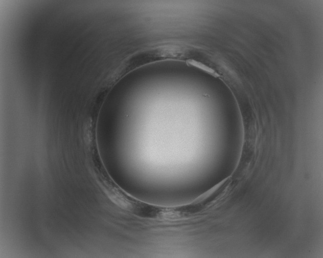 X0000075330413200609081103
