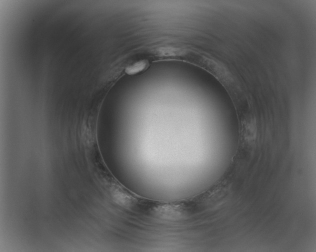 X0000075330422200609081102