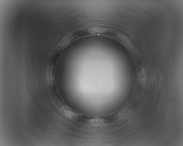 X0000075330426200609081102