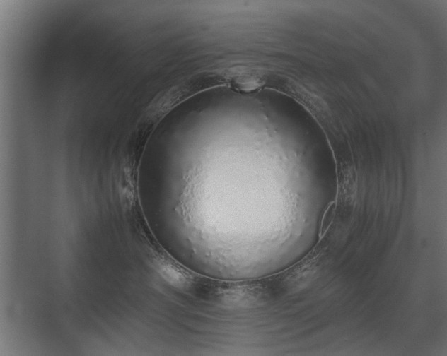 X0000075330430200609081102