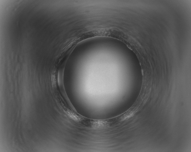 X0000075330432200609081102