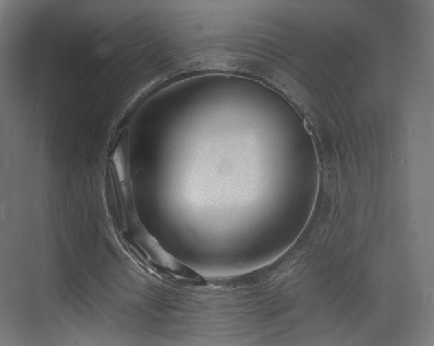 X0000075330434200609081101