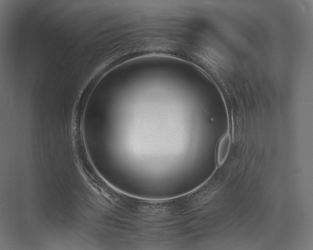 X0000075330435200609081101