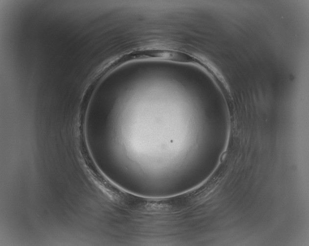 X0000075330437200609081101