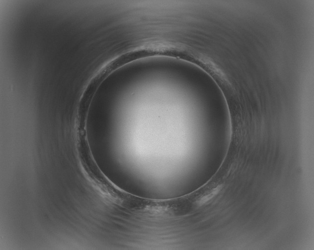 X0000075330440200609081102