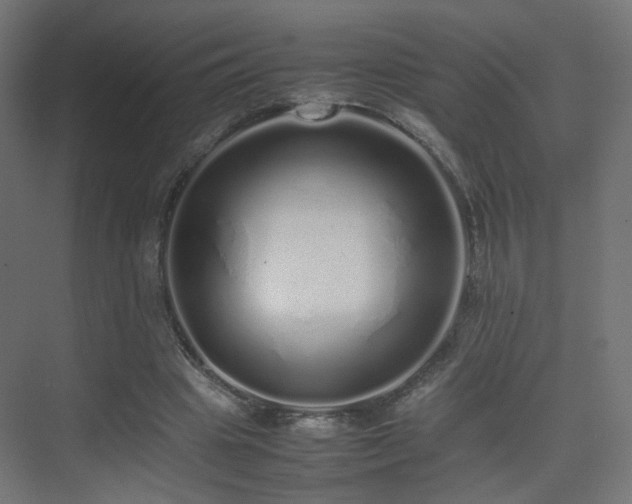 X0000075330441200609081102