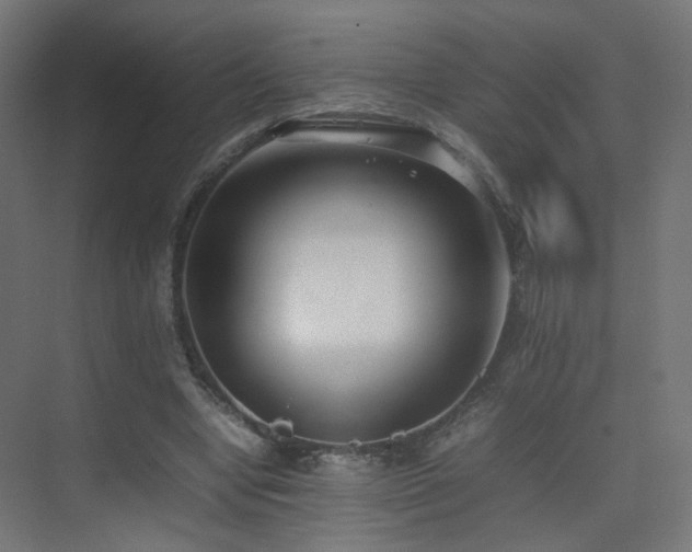X0000075330442200609081102