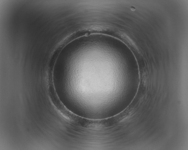 X0000075330444200609081102