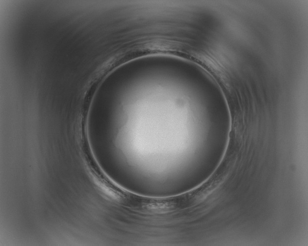 X0000075330445200609081102