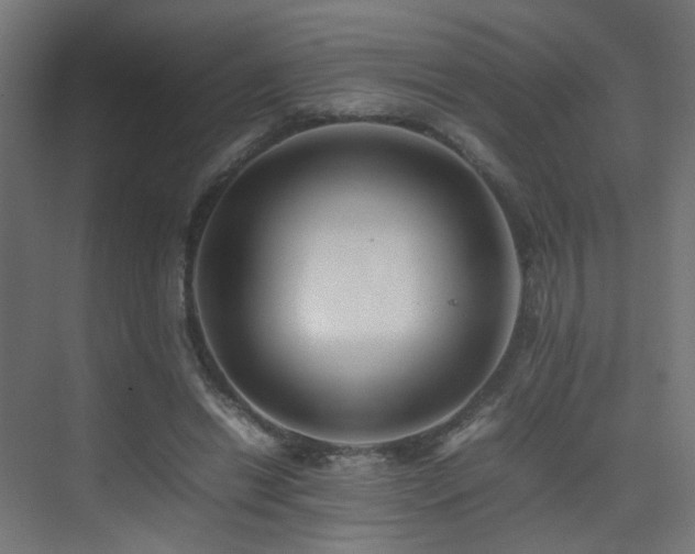 X0000075330446200609081102