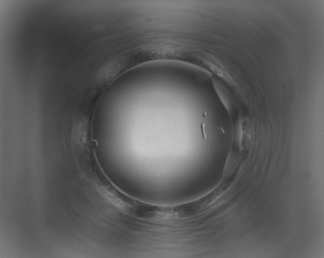 X0000075330458200609081102