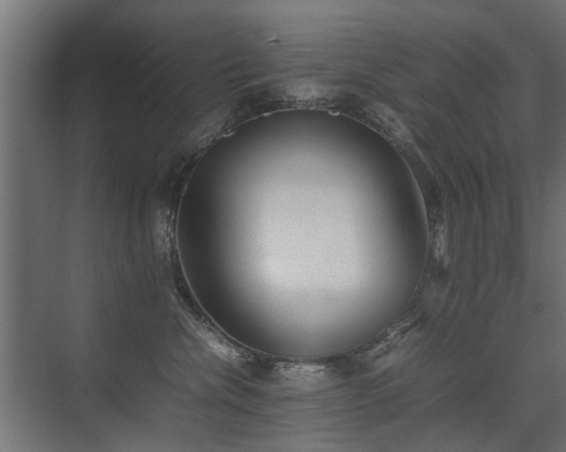 X0000075330476200609081102