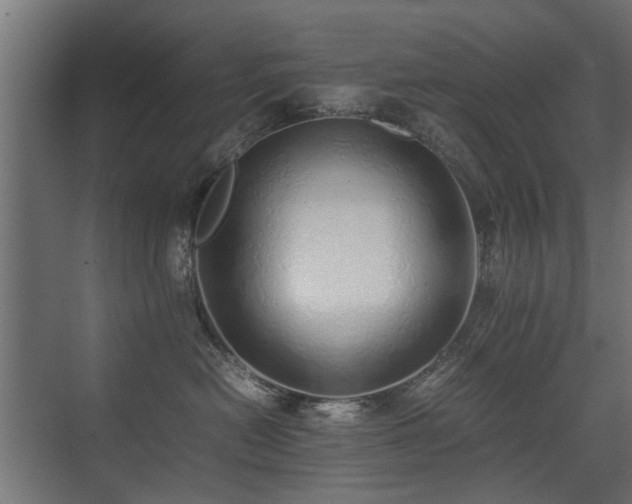 X0000075330478200609081102
