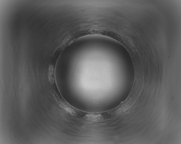 X0000075330480200609081102