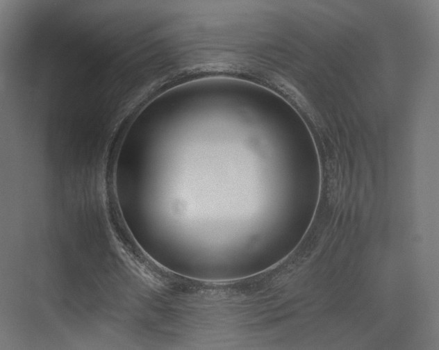 X0000075330482200609081101