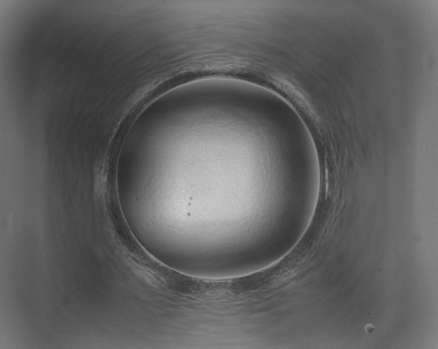 X0000075330483200609081101