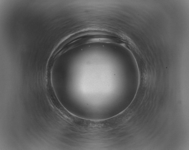 X0000075330484200609081101