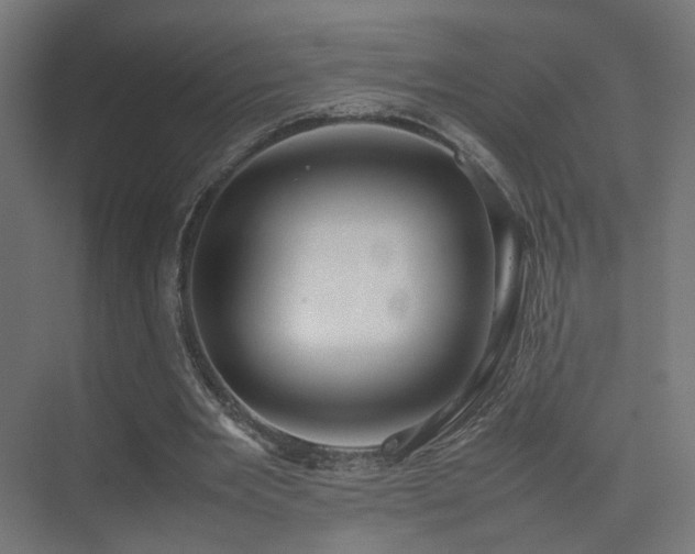 X0000075330485200609081101