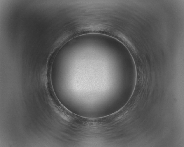 X0000075330486200609081101