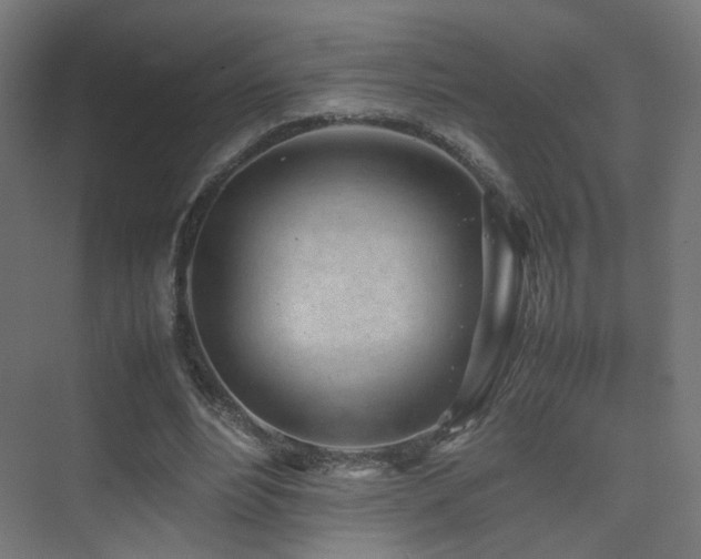 X0000075330488200609081101