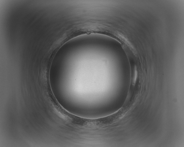 X0000075330489200609081101