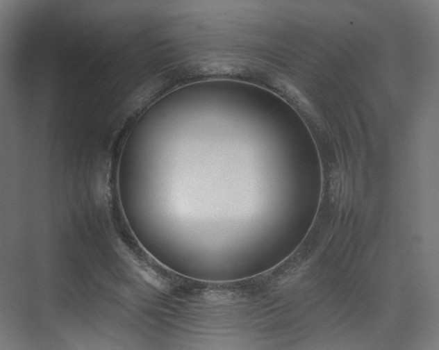 X0000075330490200609081101