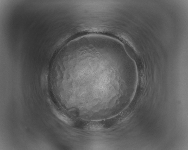 X0000075330491200609081101