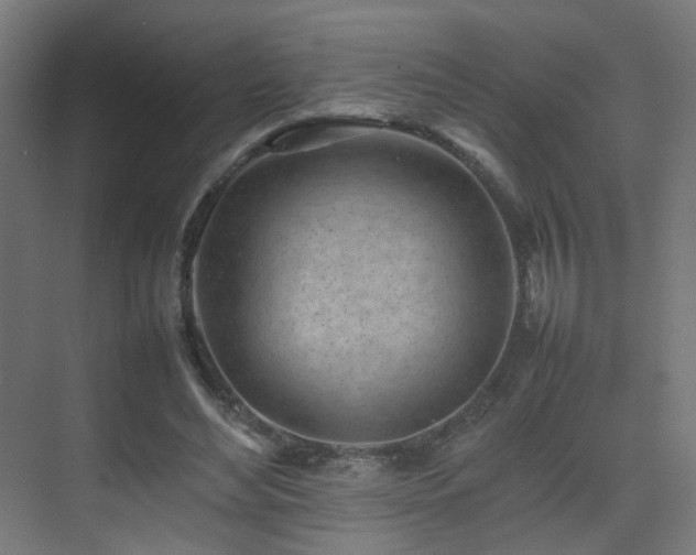 X0000075330492200609081101