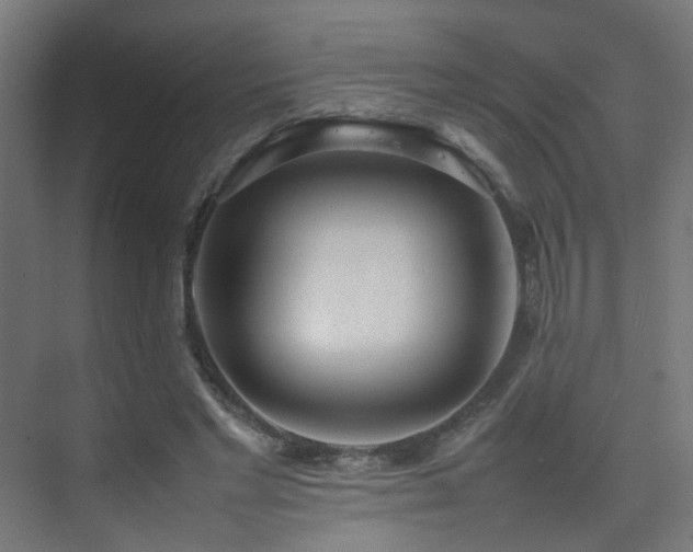 X0000075330493200609081101