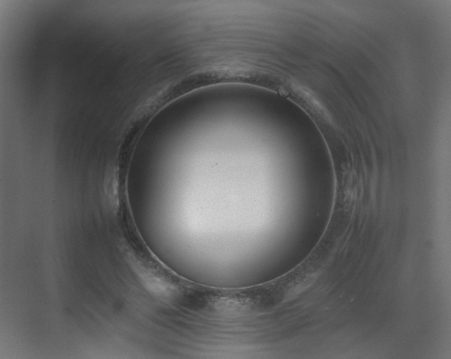 X0000075330494200609081101