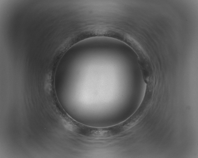 X0000075330497200609081101