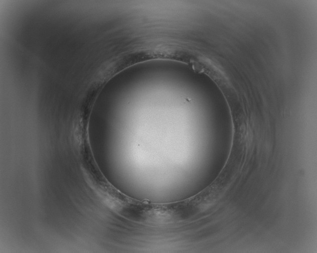 X0000075330498200609081101