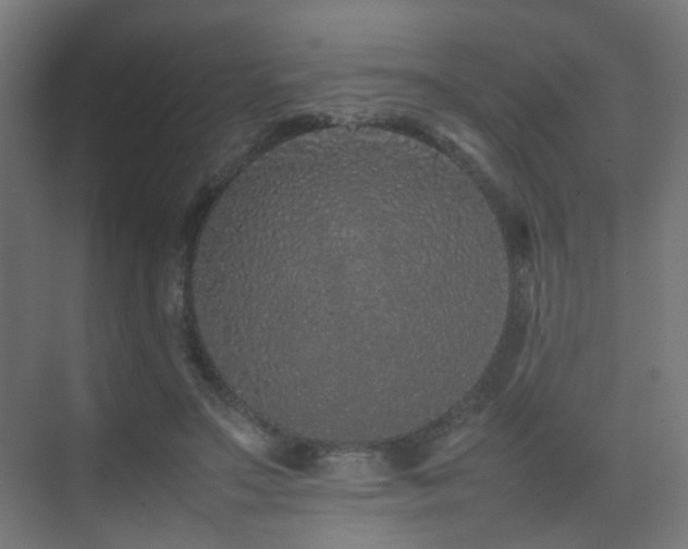 X0000075330499200609081101