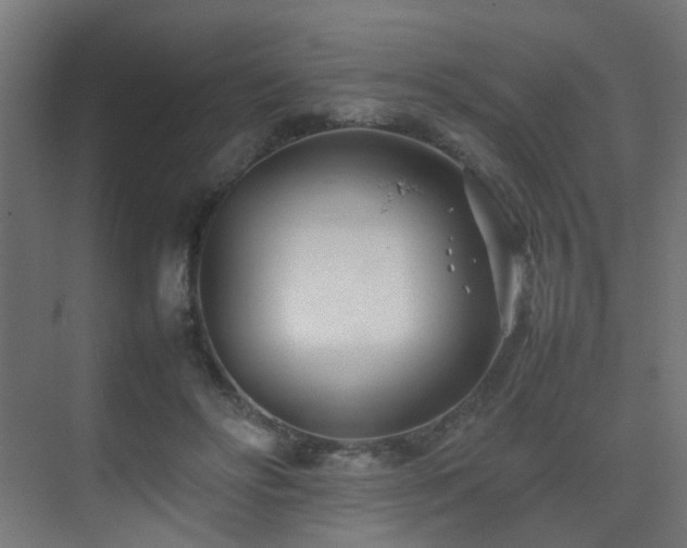 X0000075330502200609081101