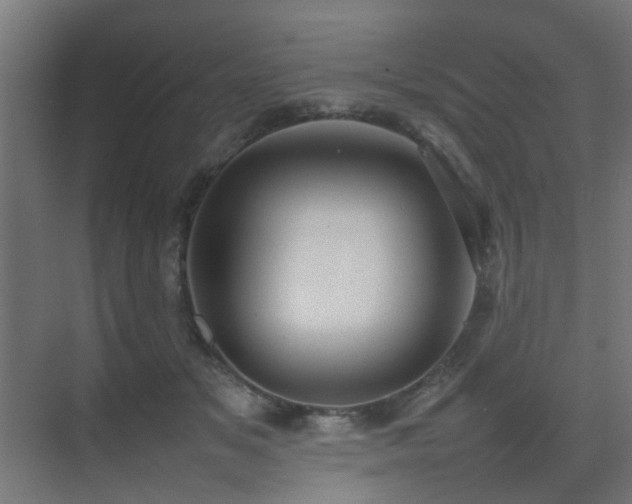 X0000075330509200609081101