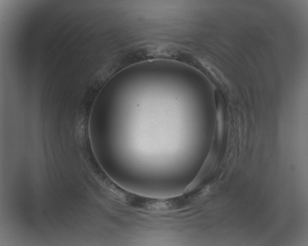X0000075330513200609081101